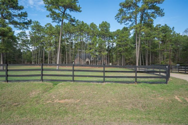 17709 W Terrace Oaks Drive, Waller, TX 77484