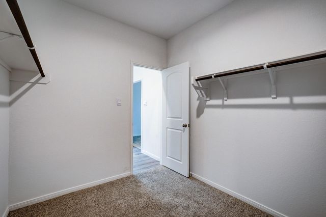 1225 Antelope Passing Dr, Montgomery, TX 77316