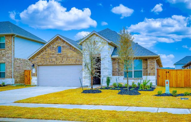 1225 Antelope Passing Dr, Montgomery, TX 77316