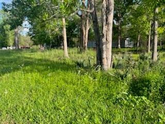 13669 Mcgregor Road, Conroe, TX 77302