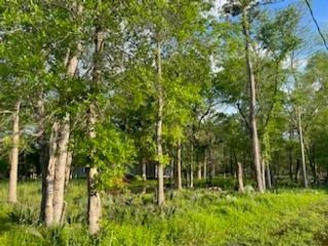 13669 Mcgregor Road, Conroe, TX 77302