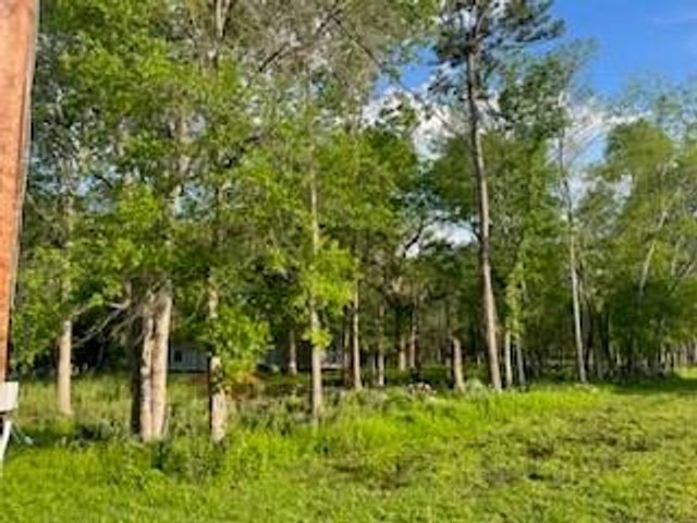 13669 Mcgregor Road, Conroe, TX 77302