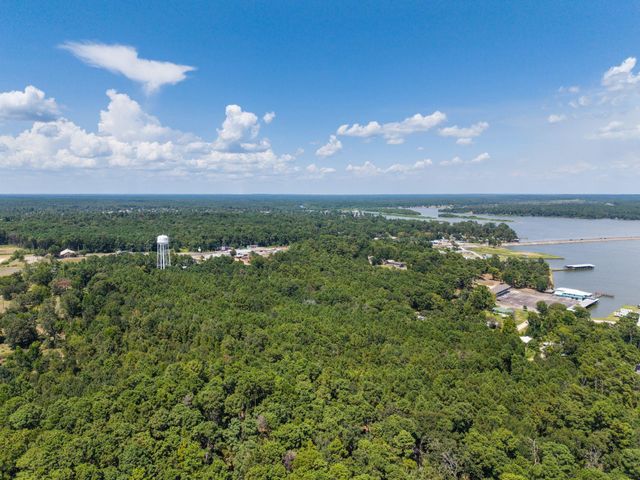 272 Artesian, Onalaska, TX 77360
