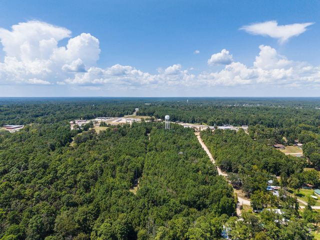 272 Artesian, Onalaska, TX 77360