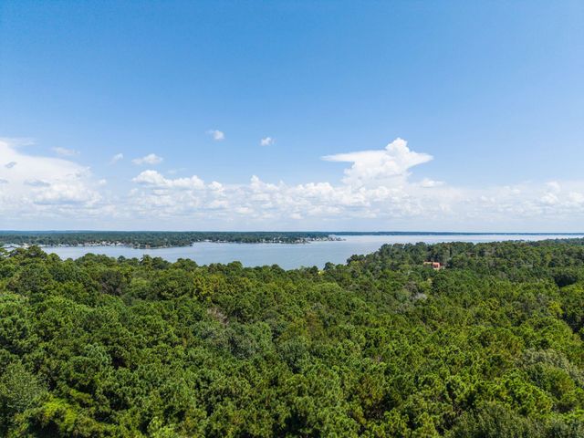 272 Artesian, Onalaska, TX 77360