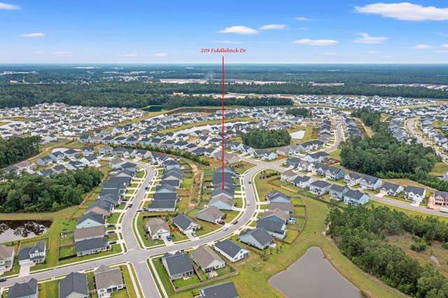 209 Fiddleback Drive, Summerville, SC 29486