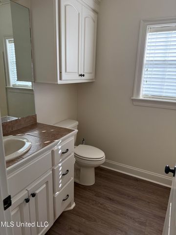 927 Frisky Drive, Brandon, MS 39047