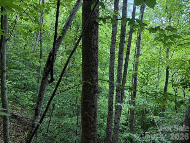 408 Arvil Gosnell Road, Marshall, NC 28753