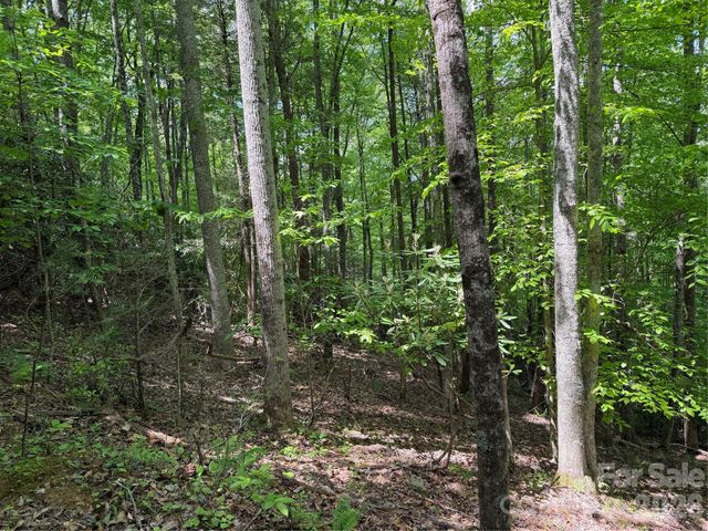 408 Arvil Gosnell Road, Marshall, NC 28753