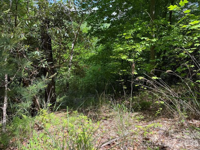 408 Arvil Gosnell Road, Marshall, NC 28753