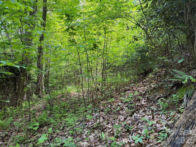 408 Arvil Gosnell Road, Marshall, NC 28753