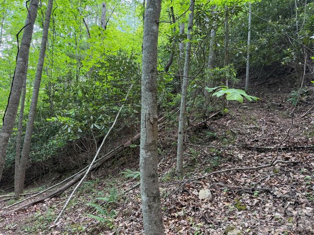 408 Arvil Gosnell Road, Marshall, NC 28753
