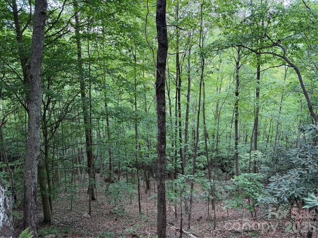 408 Arvil Gosnell Road, Marshall, NC 28753