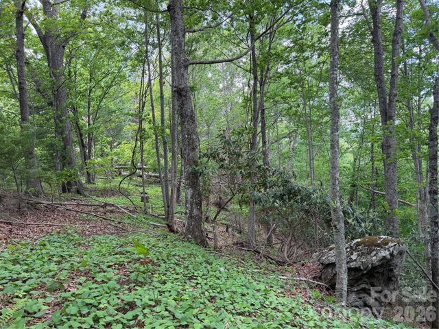 408 Arvil Gosnell Road, Marshall, NC 28753