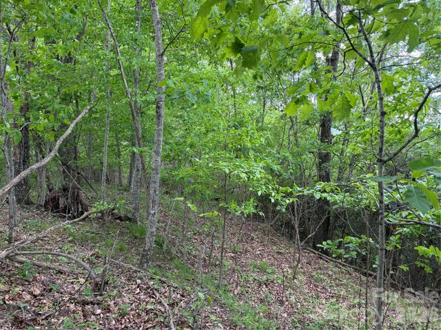 408 Arvil Gosnell Road, Marshall, NC 28753