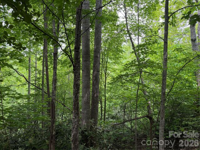408 Arvil Gosnell Road, Marshall, NC 28753