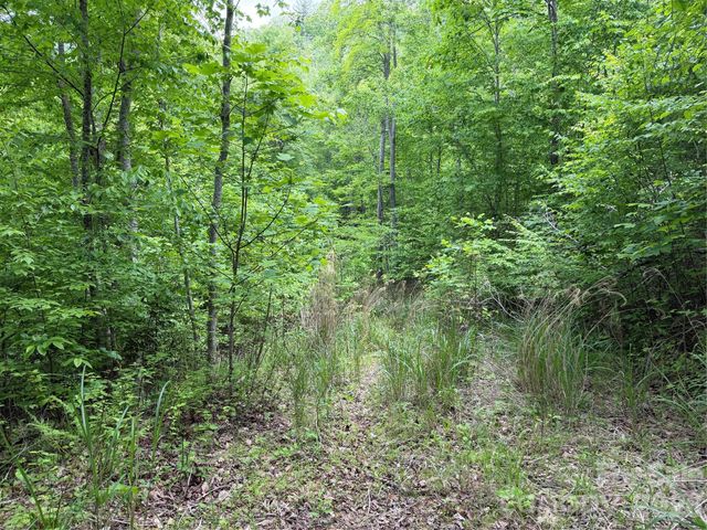 408 Arvil Gosnell Road, Marshall, NC 28753