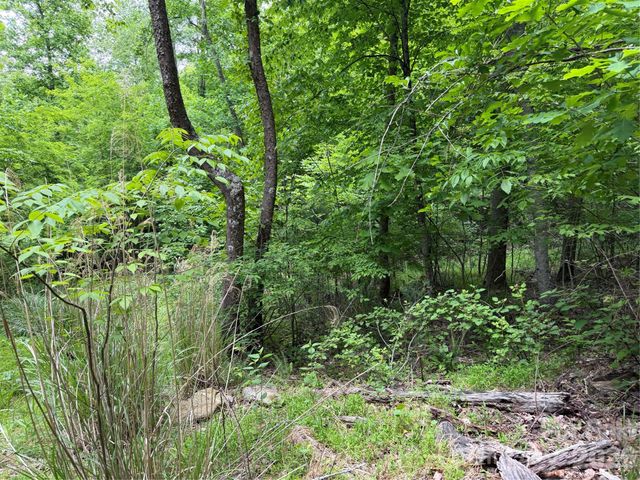 408 Arvil Gosnell Road, Marshall, NC 28753