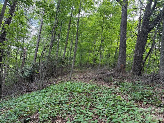 408 Arvil Gosnell Road, Marshall, NC 28753