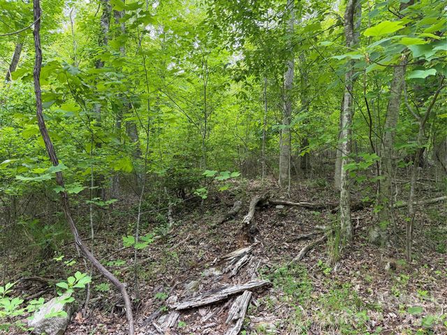 408 Arvil Gosnell Road, Marshall, NC 28753