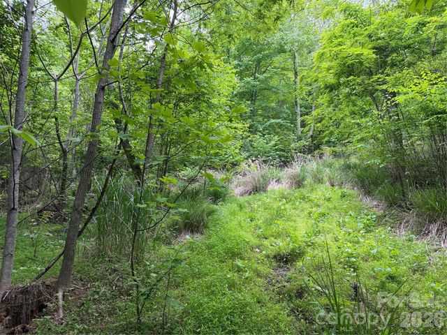 408 Arvil Gosnell Road, Marshall, NC 28753