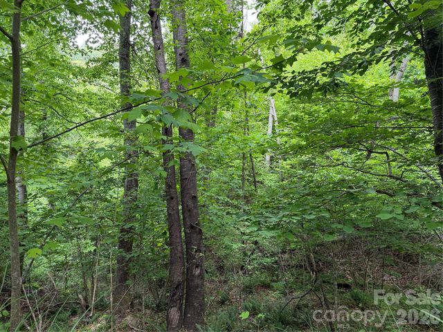 408 Arvil Gosnell Road, Marshall, NC 28753