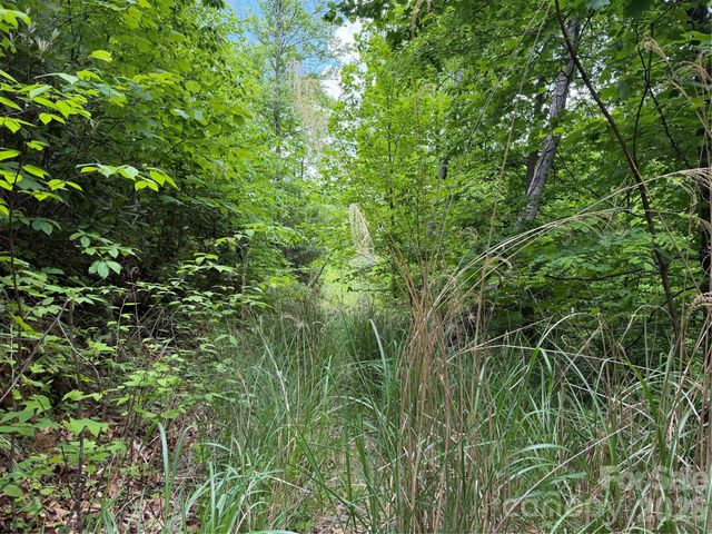 408 Arvil Gosnell Road, Marshall, NC 28753