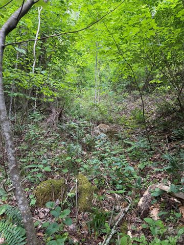 408 Arvil Gosnell Road, Marshall, NC 28753