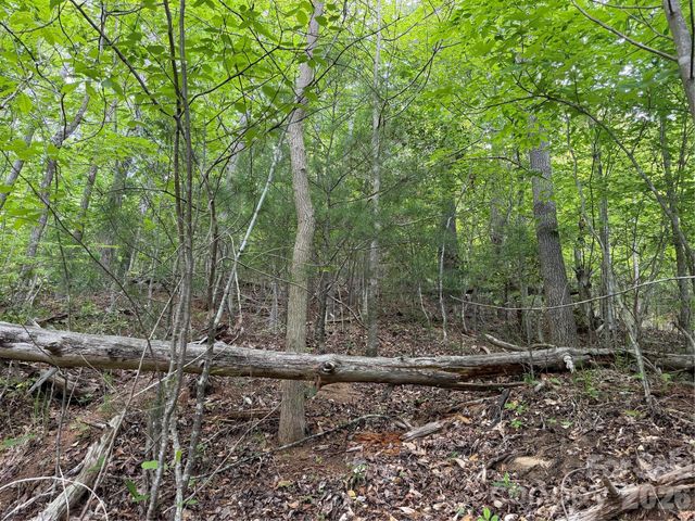 408 Arvil Gosnell Road, Marshall, NC 28753