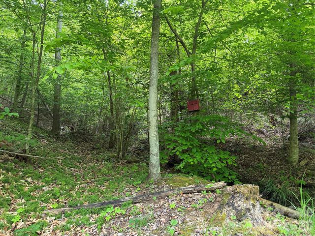 408 Arvil Gosnell Road, Marshall, NC 28753
