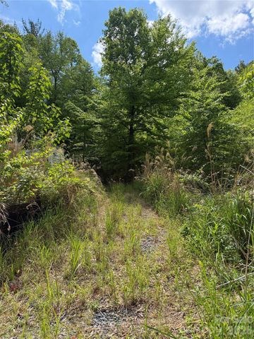 408 Arvil Gosnell Road, Marshall, NC 28753