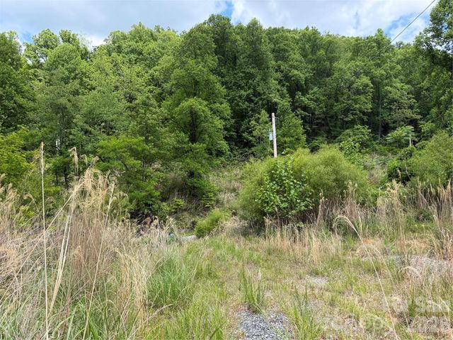 408 Arvil Gosnell Road, Marshall, NC 28753