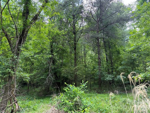 408 Arvil Gosnell Road, Marshall, NC 28753