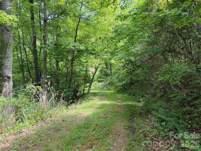 408 Arvil Gosnell Road, Marshall, NC 28753