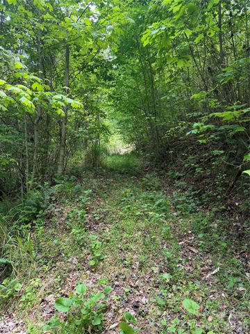 408 Arvil Gosnell Road, Marshall, NC 28753