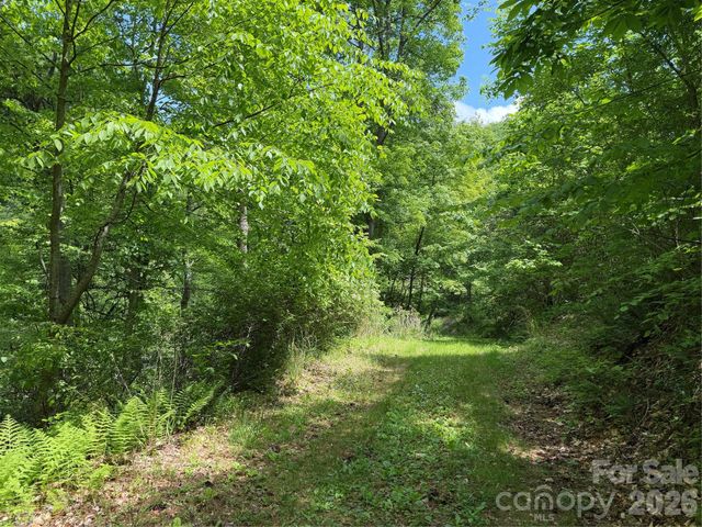 408 Arvil Gosnell Road, Marshall, NC 28753