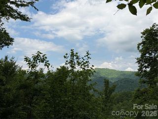 408 Arvil Gosnell Road, Marshall, NC 28753