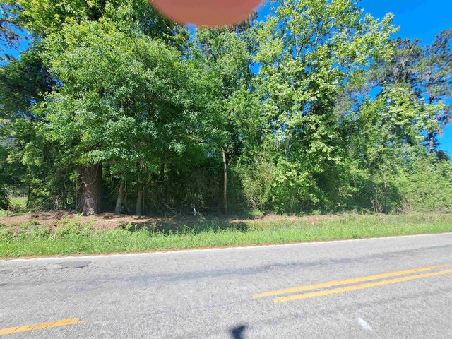 TBD Lot B Bucksport Rd., Conway, SC 29527