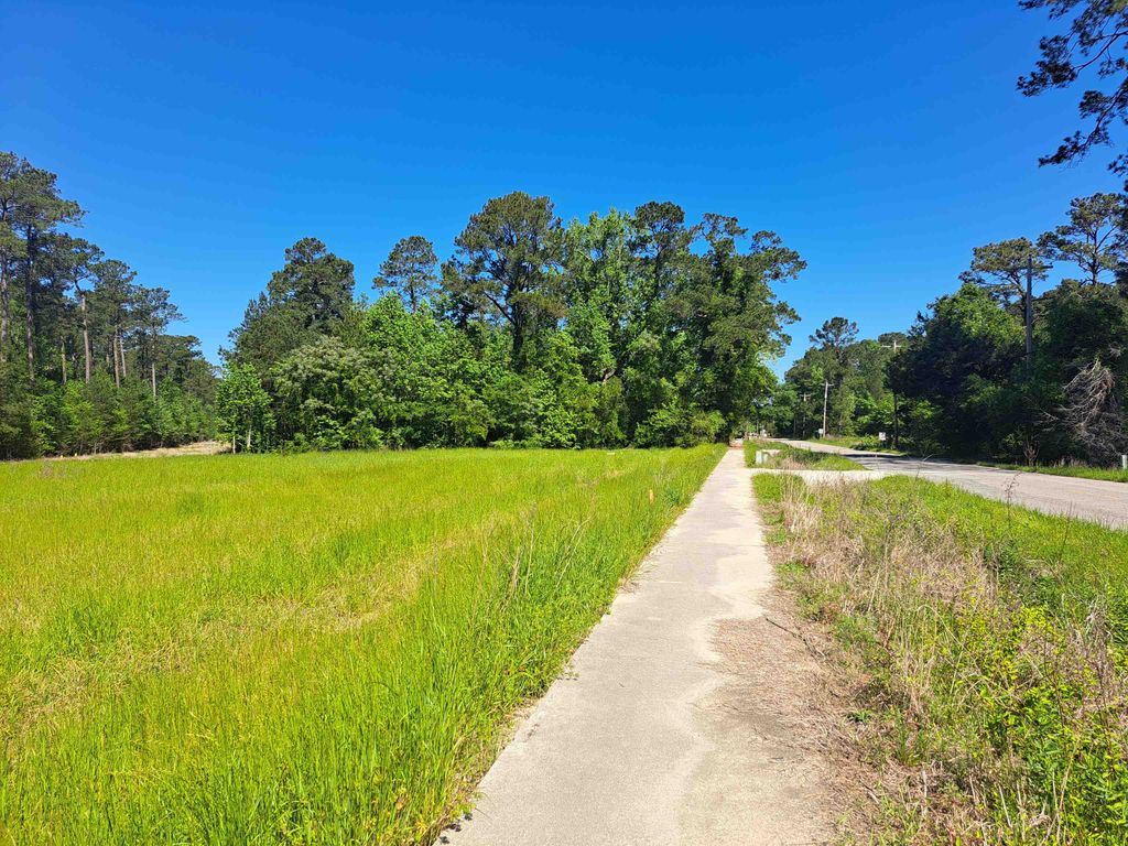 TBD Lot B Bucksport Rd., Conway, SC 29527