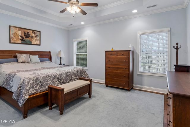 1148 Cliffview Circle, Gray, TN 37615