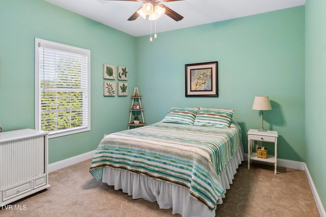 1148 Cliffview Circle, Gray, TN 37615