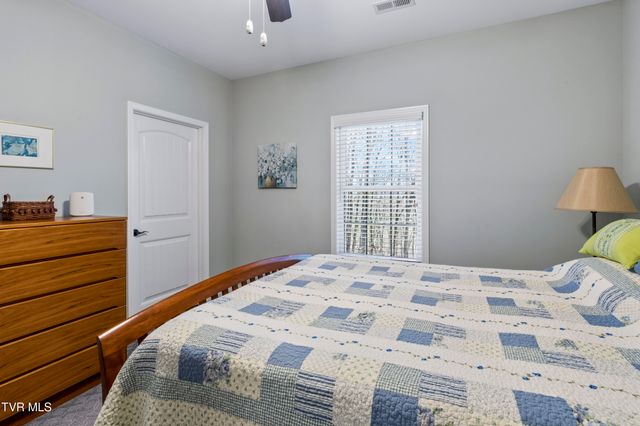 1148 Cliffview Circle, Gray, TN 37615