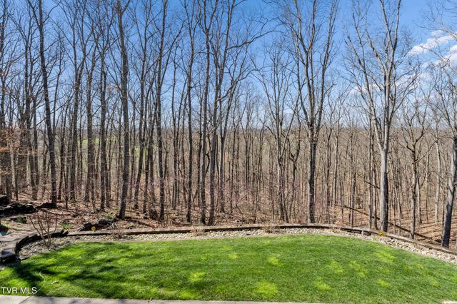 1148 Cliffview Circle, Gray, TN 37615