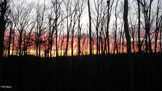 1148 Cliffview Circle, Gray, TN 37615