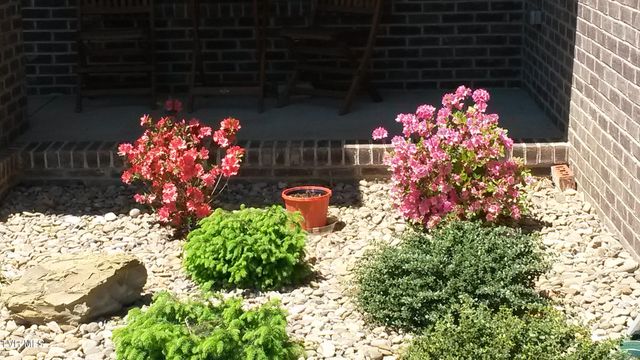 1148 Cliffview Circle, Gray, TN 37615