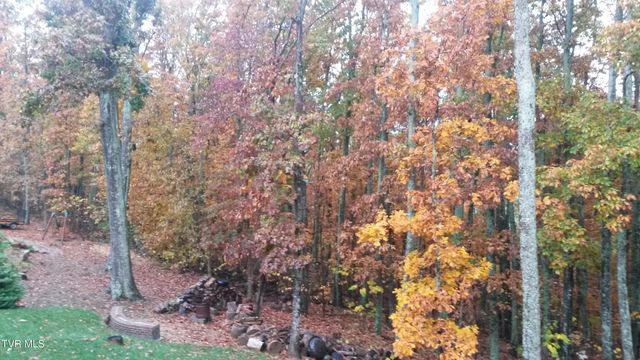 1148 Cliffview Circle, Gray, TN 37615