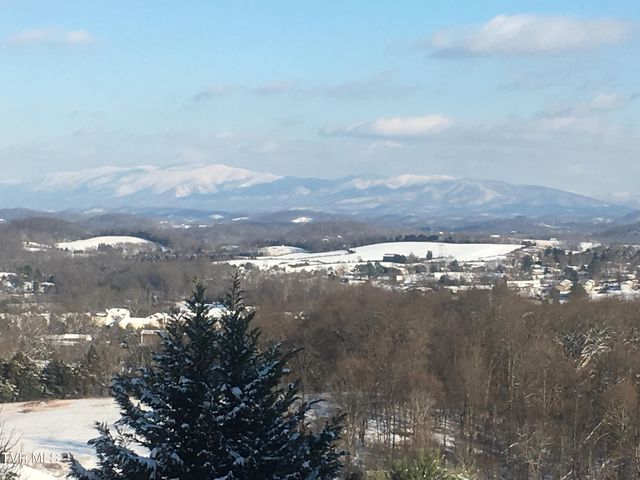 1148 Cliffview Circle, Gray, TN 37615