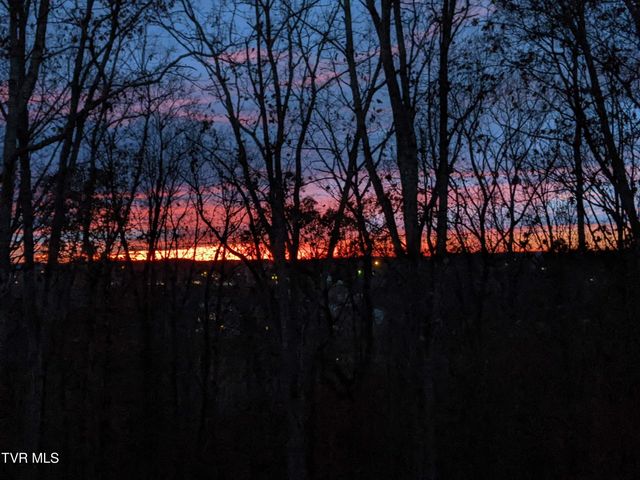 1148 Cliffview Circle, Gray, TN 37615