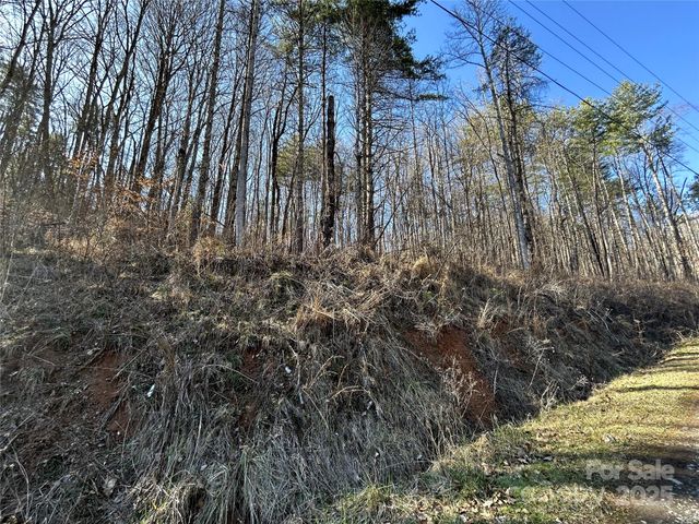 99999 Lloyd Drive 3B, Mars Hill, NC 28754