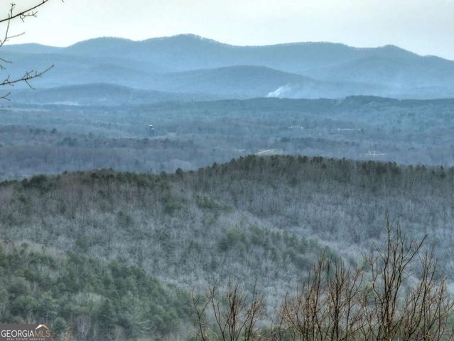 1186 Walnut Ridge, Ellijay, GA 30536